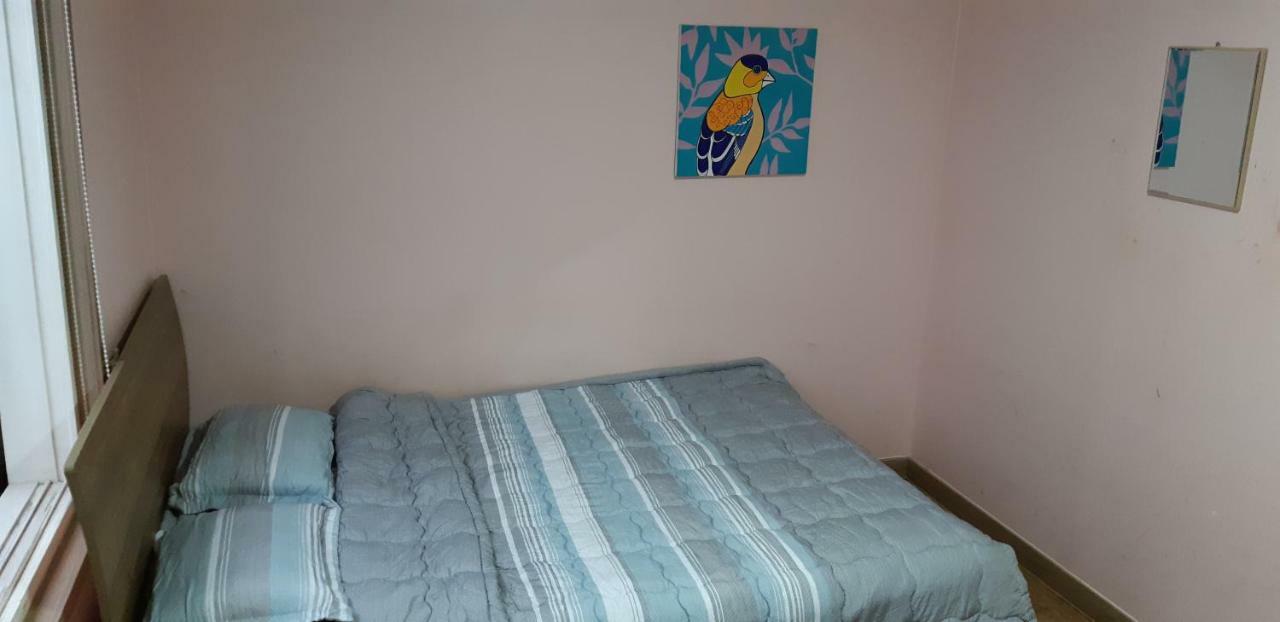 Birdsnest Hostel Hongdae Foreigner Only Сеул Экстерьер фото